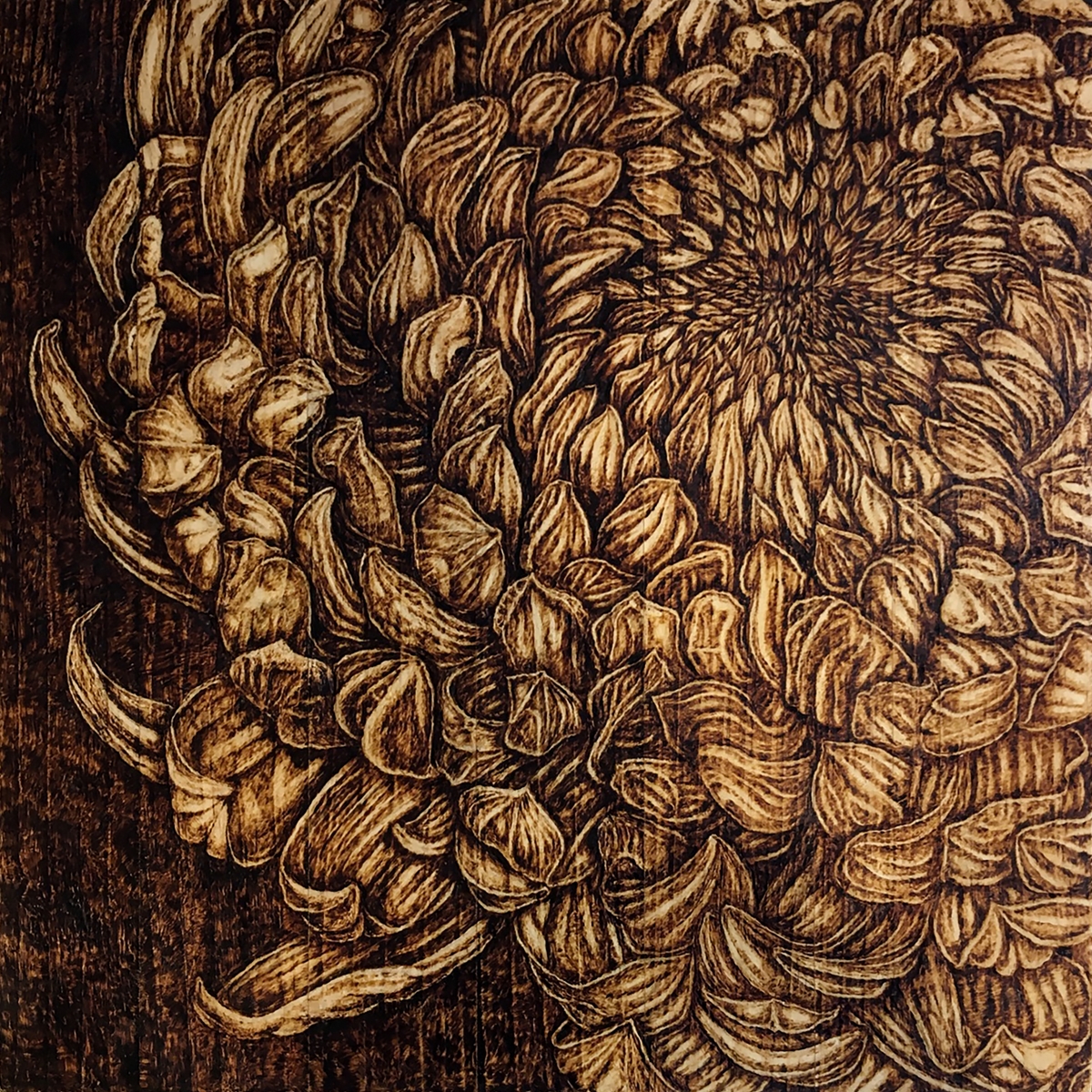 Pyrography on Pine
